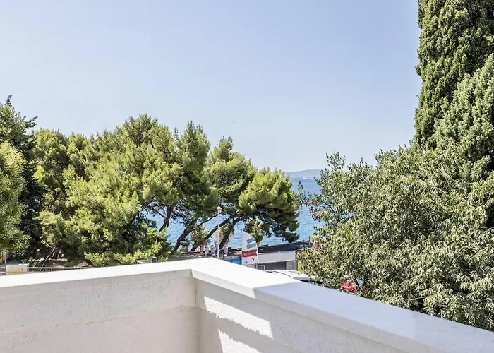 Hedonist * Сплит